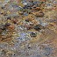 thumbs/E5D_5080.jpg